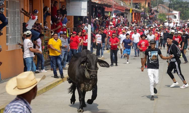 Varios heridos por suelta de toros en Chacaltianguis