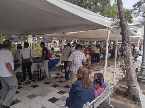 Feria gastronómica atrae turistas a Veracruz (+Video)