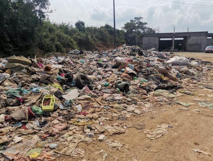 Inundado de basura el acceso al tiradero al aire libre(+Video)