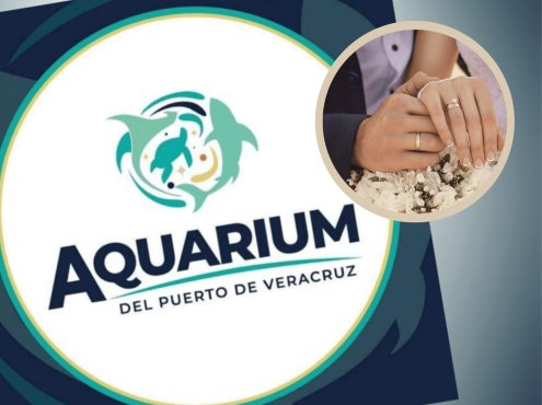 ¡Habrá bodas colectivas en el Aquarium de Veracruz!