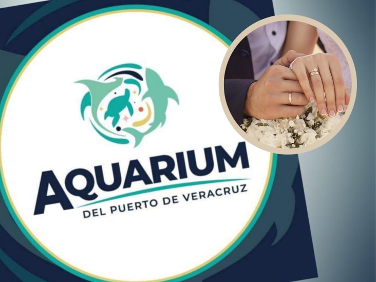 ¿Te quieres casar? Realizarán bodas colectivas en el Aquarium de Veracruz este 14 de febrero