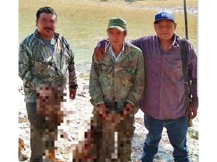 Denuncian caza furtiva en Parque Nacional Pico de Orizaba