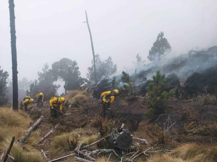 Logran controlar incendio que se originó en el Pico de Orizaba