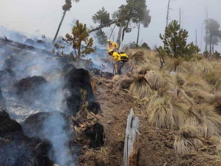 Logran controlar incendio que se originó en el Pico de Orizaba