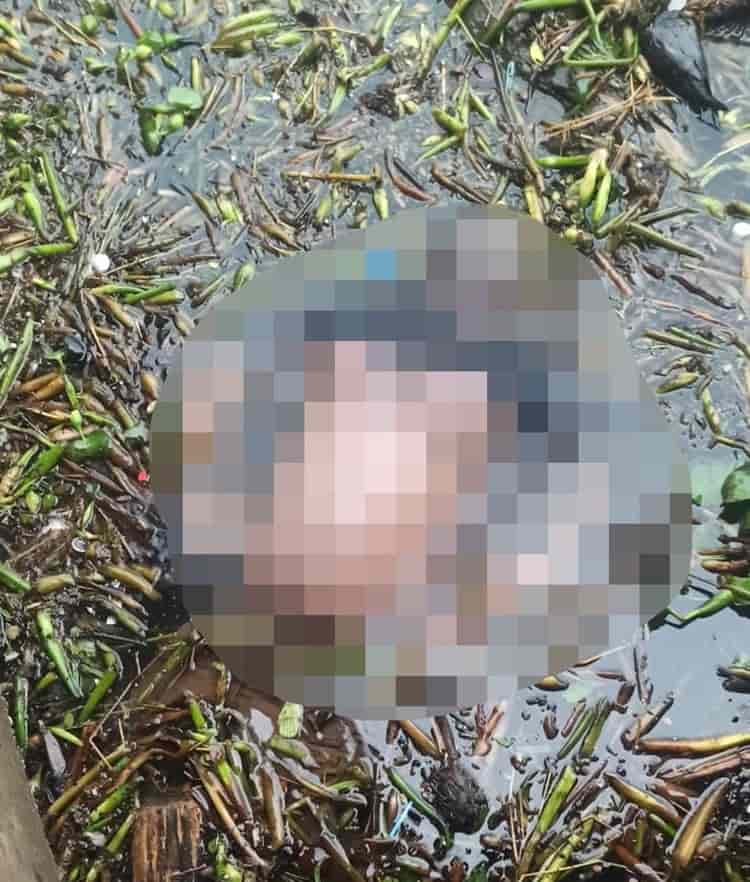 Hallan cuerpo flotando en río Coatzacoalcos (+Vídeo)