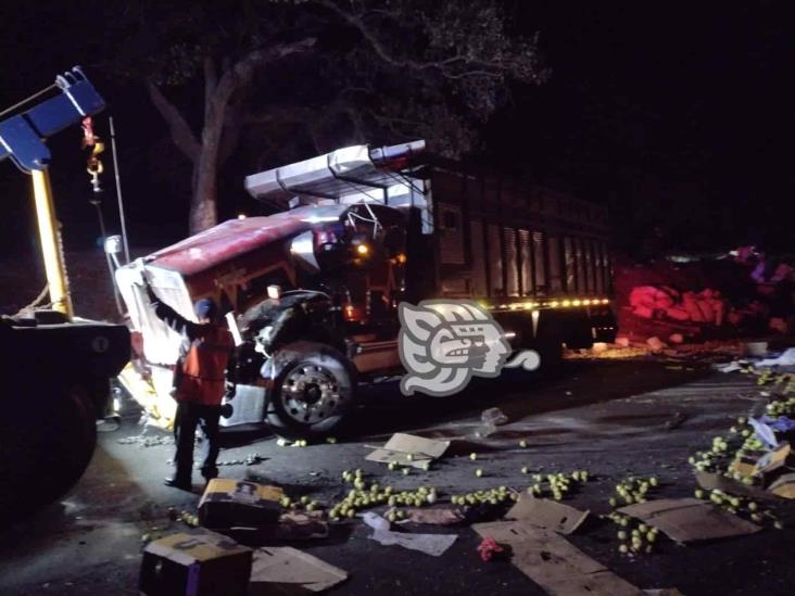 Camión de carga sufre volcadura en la Puebla-Orizaba