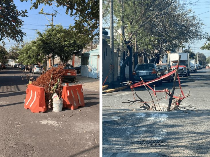 Con arbolito de Navidad, señalizan hoyos en calle de Veracruz