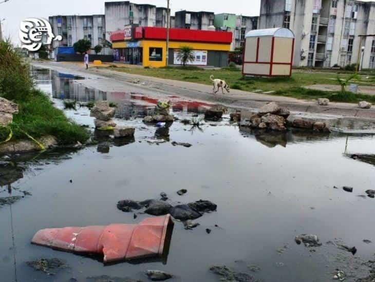 Viven entre aguas negras en fraccionamiento Santa Martha, en Coatzacoalcos