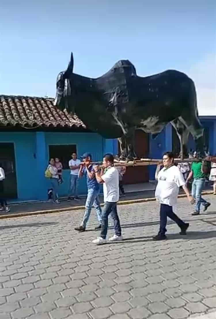 Recorre Mojiganga Infantil las calles de Tlacotalpan