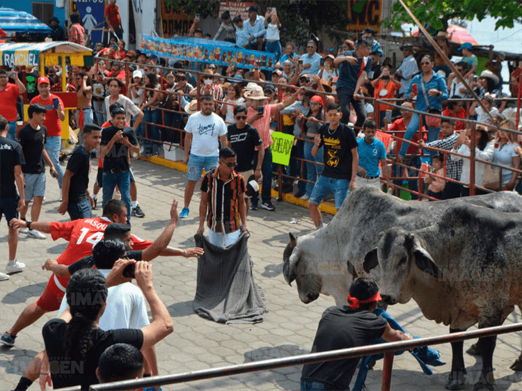 Inician las fiestas de la Candelaria en Tlacotalpan con el embalse de toros(+Video)