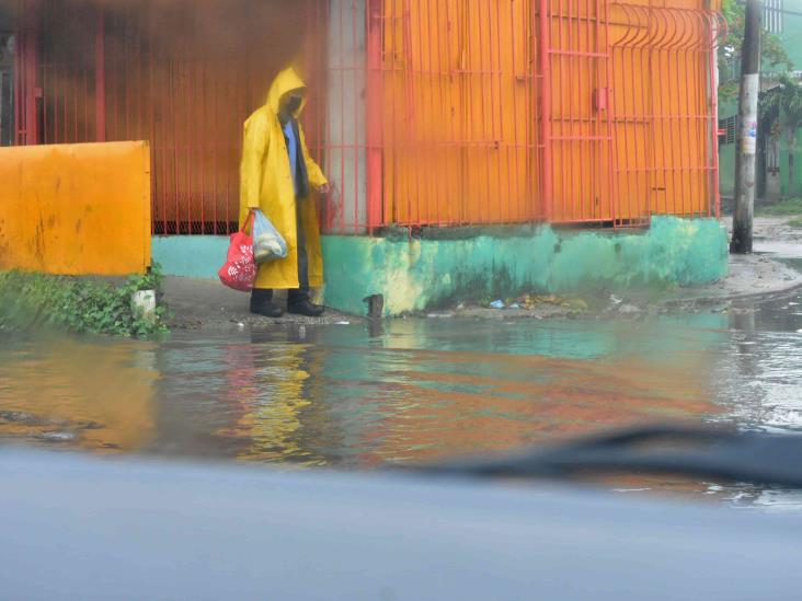 Frente frío deja techos volados, árboles caídos y autos atorados en Coatzacoalcos