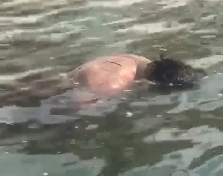 Localizan cadáver de hombre en el río Papaloapan