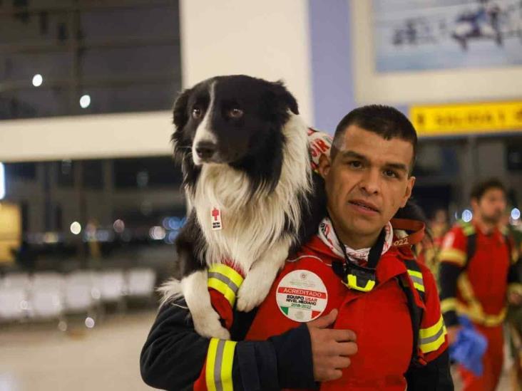 Lomitos y Grupo Topos van con ‘héroes’ mexicanos a ayudar a Turquía; viajan 16 binomios