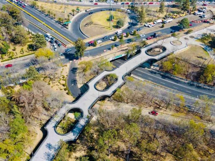 Piezas arqueológicas encontradas en bosque de Chapultepec datan de hace 4 mil años