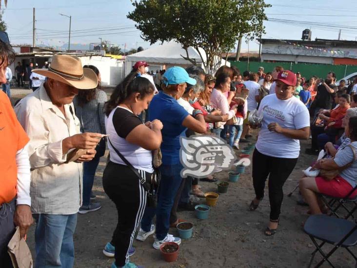 AC promueve en Orizaba huertos en casa