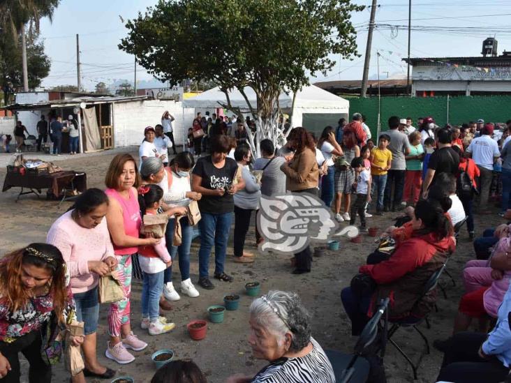 AC promueve en Orizaba huertos en casa