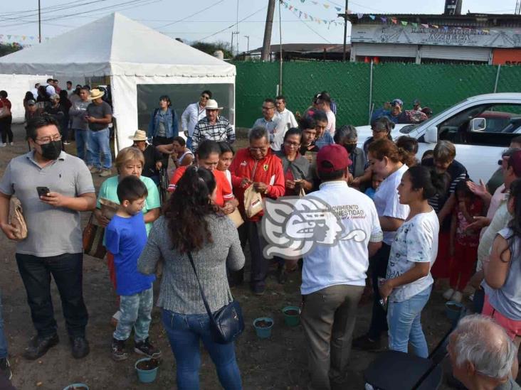 AC promueve en Orizaba huertos en casa