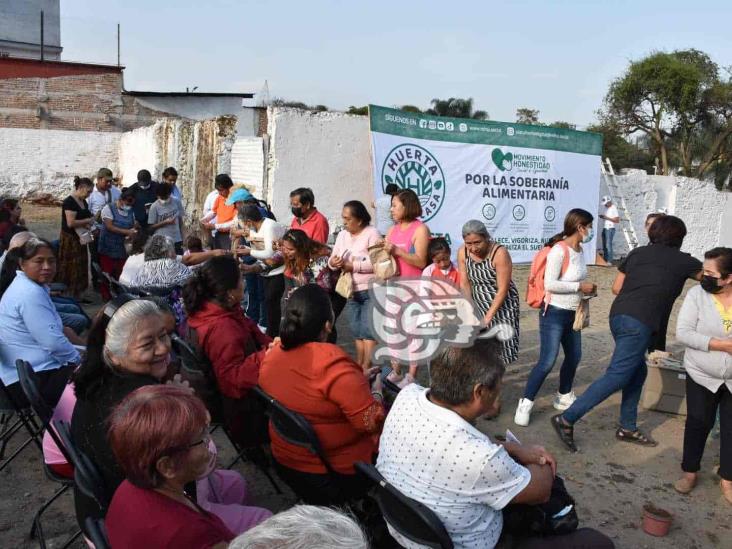 AC promueve en Orizaba huertos en casa