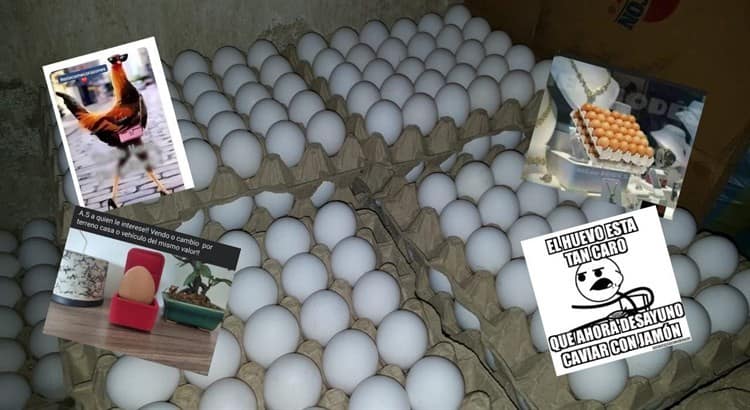 ¡El precio de los huevos por las nubes en Veracruz!