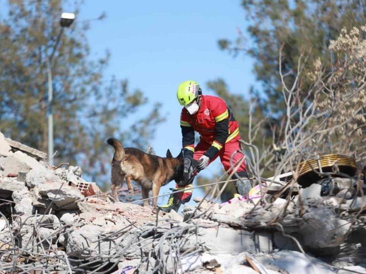 Hasta el momento, no hay mexicanos entre las víctimas del terremoto en Turquía