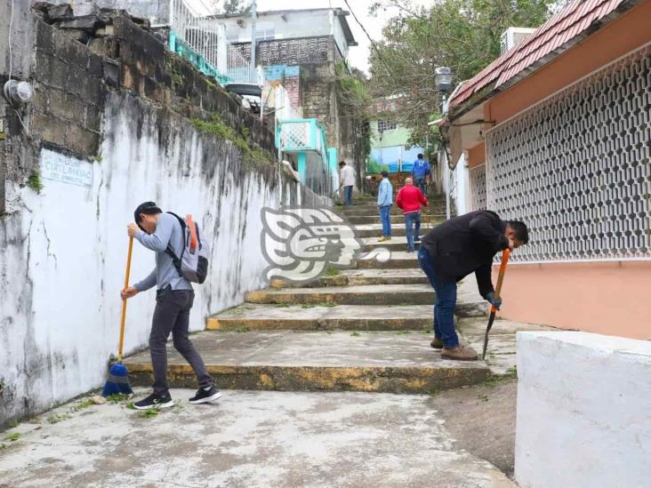 Dan manita de gato a colonias de Nanchital