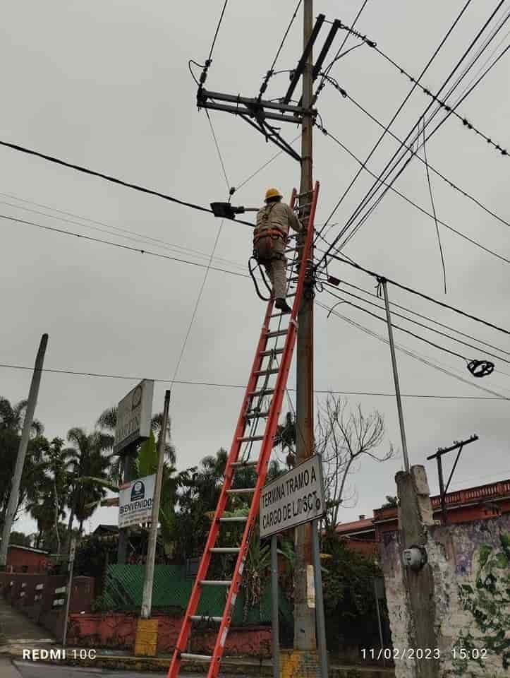 Bomberos de Fortín rescatan a oso hormiguero electrocutado