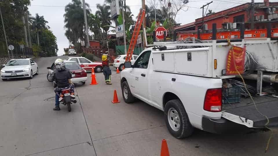 Bomberos de Fortín rescatan a oso hormiguero electrocutado