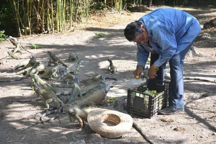 Sí se construirá iguanario en comunidad de Úrsulo Galván