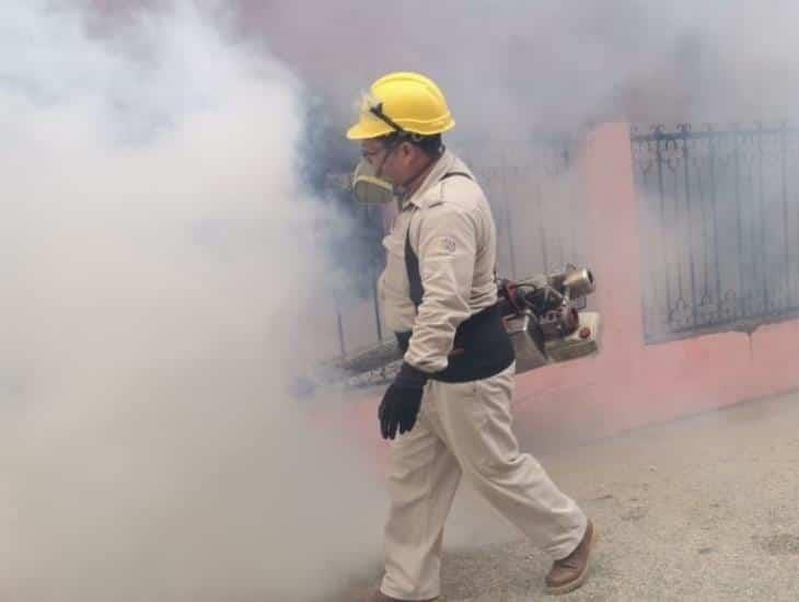 Fumigan en colonia Tepeyac, en Nanchital, ante caso sospechoso de dengue