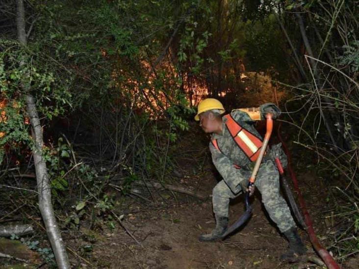 Ejército y Conafor sofocaron más de mil hectáreas en incendios forestales en Chile