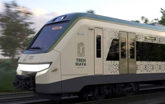 Flora y fauna en tramo 5 del Tren Maya están protegidas a través de obras y creación de Áreas Naturales Protegidas