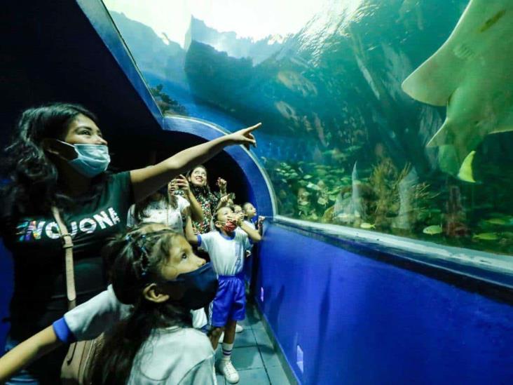 Más de 6 mil 800 visitaron este martes el Aquarium; la entrada fue gratuita