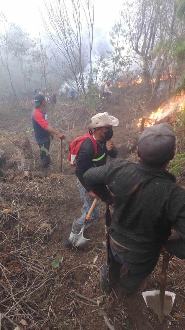 Otro incendio forestal en Perote,  ahora en La Gloria