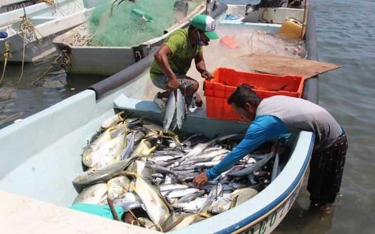 Botín de dos toneladas sorprende a pescadores de Veracruz