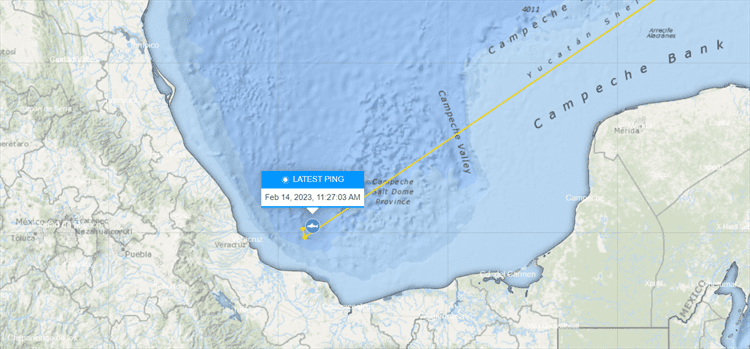 Enorme tiburón blanco ronda las aguas de Veracruz