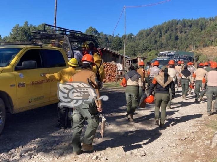 Siguen activos; brigadistas combaten 4 incendios simultáneamente en zona del Cofre de Perote