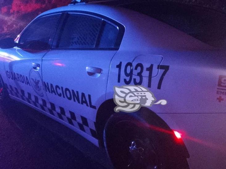Vuelca tráiler cargado de ganado en la Orizaba-Puebla; rapiñeros roban mercancía
