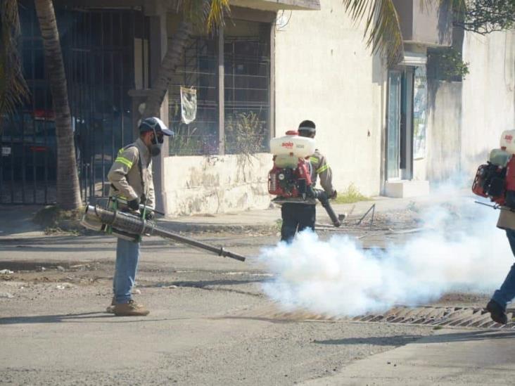 En Veracruz puerto, 13 casos confirmados de dengue