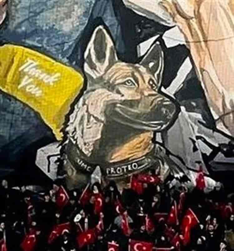 Rinden homenaje aficionados de Trabzonspor en Turquía a Proteo, perro rescatistas de la Sedena