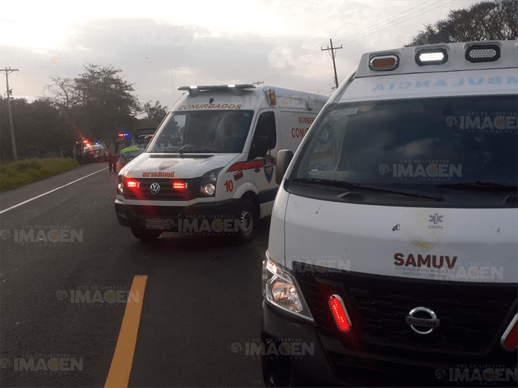 Se registra nuevo enfrentamiento en carretera Paso del Toro - Alvarado (+video)