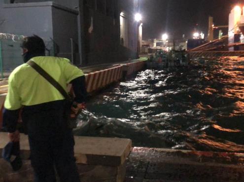 Reportan un ahogado a la altura del Malecón de Veracruz (+Video)