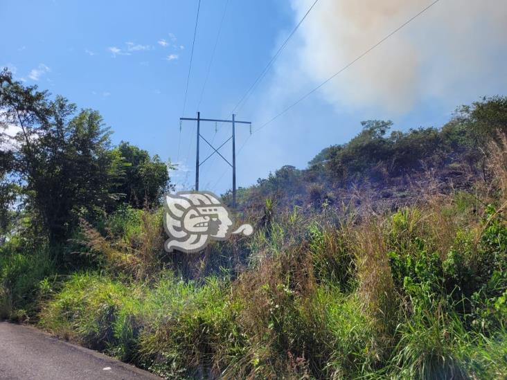 Bomberos extinguen incendio forestal en carretera Vega de Alatorre-Misantla