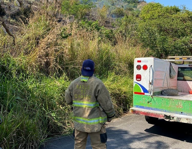Bomberos extinguen incendio forestal en carretera Vega de Alatorre-Misantla