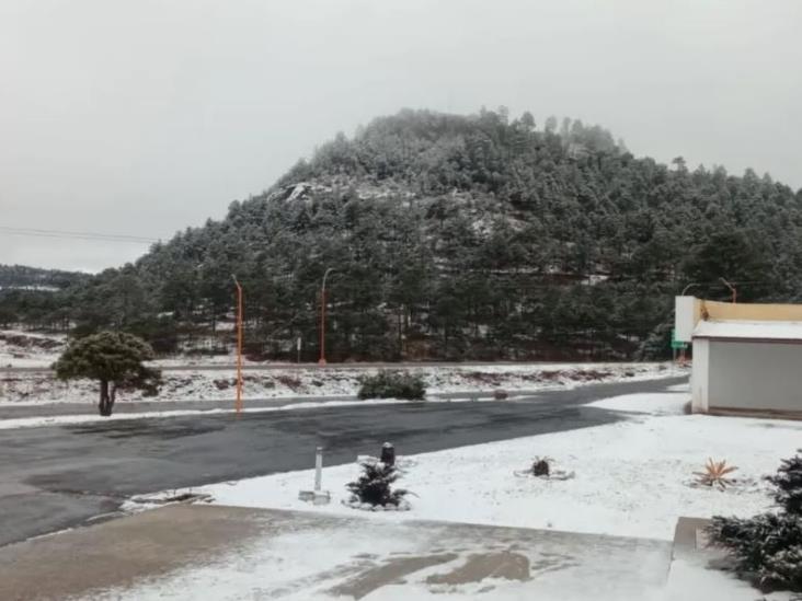 Frente frío 33 deja nevadas en Chihuahua; pronostican más tormentas