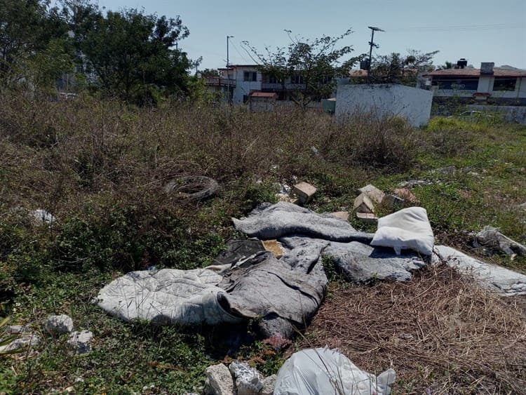 Convierten a terrenos baldíos en basureros en fraccionamiento Reforma, en Veracruz Puerto