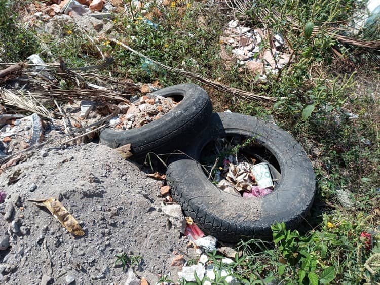 Convierten a terrenos baldíos en basureros en fraccionamiento Reforma, en Veracruz Puerto