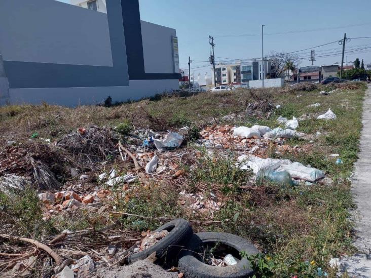 Convierten a terrenos baldíos en basureros en fraccionamiento Reforma, en Veracruz Puerto