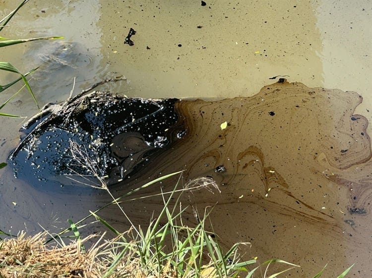 Nuevo derrame de hidrocarburo contamina arroyo en Poza Rica (+Video)
