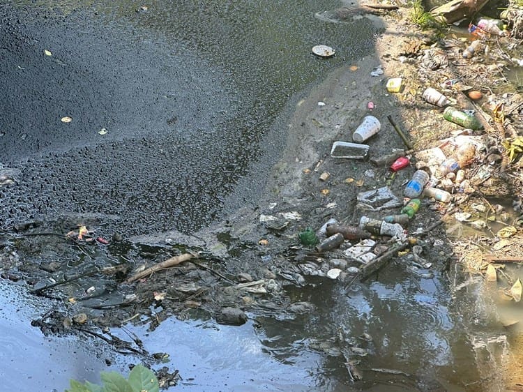 Nuevo derrame de hidrocarburo contamina arroyo en Poza Rica (+Video)