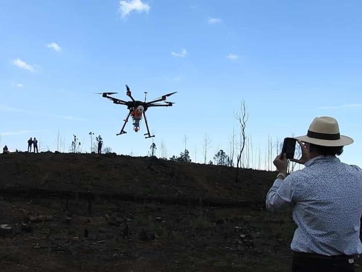 Usan drones para reforestar bosques en Veracruz